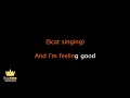 Nina Simone - Feeling Good (Karaoke Version)