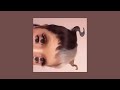 melanie martinez- FAERIE SOIREE (extended-clip version) sped up