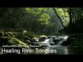 Healing River Tongues - 1 Hour of Prayer & Relaxation - Joshua Mills & Steve Swanson