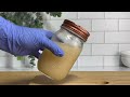 How to Make SEA MOSS GEL | DRINK THIS EVERYDAY for Health, Skin, & Hair.