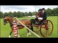 FULL WIDESCREEN Attelage Horse CITA Weekend 2024 Videos Beamish Museum #beamish #horsemanship #horse