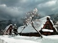 Winter in the Icehouse