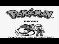 Let's Play Pokemon Brown Part 79: Credits