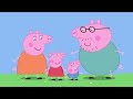 🔴 Peppa Pig | Full Episodes | All Series | Live 24/7 🐷 @Peppa Pig - Official Channel Livestream