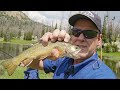 Backpacking & Fishing the High Uintas of Utah | Friends, Tiger Tout, & Backcountry Lakes #uintas