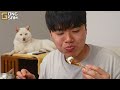 ASMR MUKBANG | Fried Chicken, cheese stick, black bean noodles, Korean Food recipe ! eating