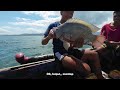 Panen IKAN NILA SUPER BABON di spot ini 🥳🥳🥳|| Langsung TABUR BENIH || Spearfishing Danau Toba