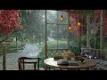 Garden Porch Ambience with Relaxing Gentle Light Rain Sounds / for Relaxation and Studying