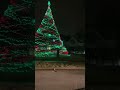 A house with beautiful Christmas lights