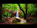 Relaxation and Meditation Music - Water Sounds, Peaceful Soothing Music, Sleep Music, Study