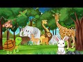 The Hare And The Tortoise | Story | The tortoise and the hare | animals | moral story