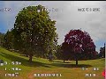 Eachine reddevil 2nd flight at the park