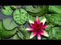 Beautiful Relaxing Music - Piano, Cello & Guitar Music by Soothing Relaxation