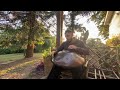 Playing HANDPAN in Nature is Better Than Therapy