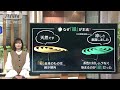 蚊取り線香は何から作られているの？　殺虫成分は“白い花”だった…工場のぞき見！【スーパーJチャンネル】(2024年6月10日)