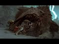 Monster Hunter Wilds - 1st Trailer