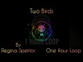 Two Birds By Regina Spektor | One Hour Loop