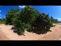 The most beautiful beach i've been to in 2023 a Virtual reality Tour of Playa Arenas, Vieques, P.R.