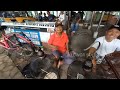 Pasar Burung Tradisional Jawa: Tempat Belanja Hemat bagi Pecinta Burung