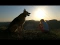 @ beautiful sun set# German shepherd# videos # beautiful sunset # viral video