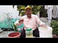 गार्डन में ऐलोवेरा का जादू देख आप चौंक जाओगे:High Power Natural fertilizer & Pesticide।