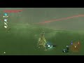 botw double jump and flurry rush trick