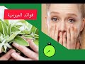 فوائد الزنجبيل 🍠 والميرمية 🌱 فوائد مهمة ومفيدة 👍 للصحة 🙏شاهدو الڤيديو للاخير 👉