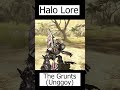 Grunts Explained | Unggoy - Halo Lore