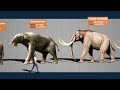 Size Comparison of Animals: the Prehistoric Mammals