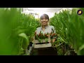 How to become a Crorepati By Farming? 💰 | 5 Crazy Farming Business Ideas 💡
