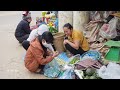 Harvesting White & Green Garden Egg Go to market sell - Daily life | Lý Tiểu Anh