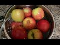 #Organic Pink Lady Apples (Whole Foods) 94218 Ozone Cleaning