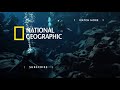 What is Mercury Poisoning? | National Geographic