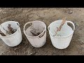 How to Grow Kiwi Plants From Kiwi Fruit || How to Grow Kiwi From Seed || Growing Kiwi Plants