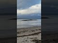 beachvideo