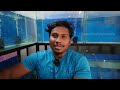 Buying a new Indian flowerhorn | rajan aquarium | தமிழ்