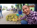 GILA...!!! HARGA BUAH DI PAPUA GAK MASUK AKAL??!!#@% (Papua vlog069)