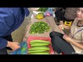 Single girl harvests a luffa garden and brings it to the market to sell | daily life I Ly Tieu Uyen