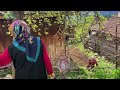 Hard Life of a Family in a Mountain Village in Turkey. Village life. Documentary