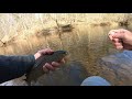 Valley Green Trout Opening Day 2021 (Dude Takes a Swim)