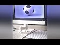 IMPOSSIBLE TRY NOT TO LAUGH 😅😂 Best Funniest Catss Video 2024 🤣😆
