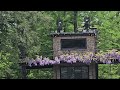 4K Late Spring Relaxing Walkthrough - Wisteria & Fountains Longwood Gardens 2024 #botanicalgarden