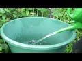 Automatische Gartenbewässerung ohne Frischwasseranschluss und Strom - Wasser sparen im Gemüsegarten