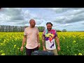 Melodic House | Canola Field Mix | Ben Böhmer, Alex Breitling, Hessian, Ventt, Melodic House