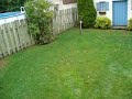 PARKZONE VAPOR BACKYARD FLYING