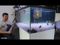 FISH ROOM TOUR AT FANCY GOLDFISH FANATICS HOUSE AROWANA AND MORE