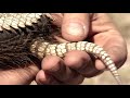 Worldwide Search For Incredibly Rare Pink Fairy Armadillo | Weird Creatures | Real Wild Documentary