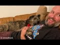 When Your Big Dog Thinks He's a BABY!   Funny Dog and Human