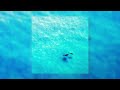 Pandora x September ; ocean atmosphere [1 hour]