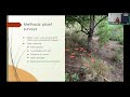 How Does a Forest Sustain Itself? - June Meeting